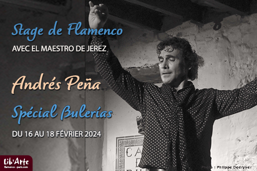 Stage de Flamenco à Paris avec Andrés Peña du 29 septembre au 1er octobre 2023 à Flamneco en France