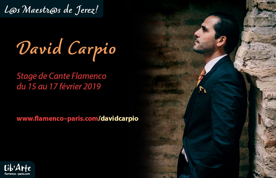 Stage de Cante 
Flamenco à Paris avec David Carpio