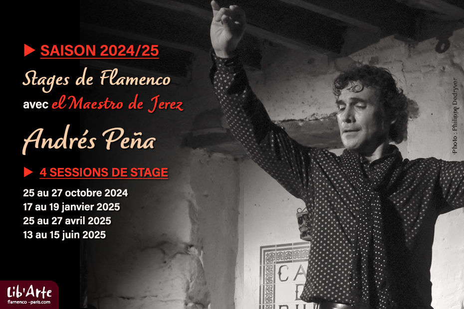 Stage de Flamenco à Paris avec Andrés Peña