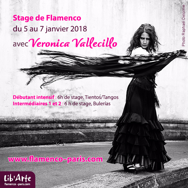 Stage d'initiation au Flamenco avec Veronica Vallecillo
