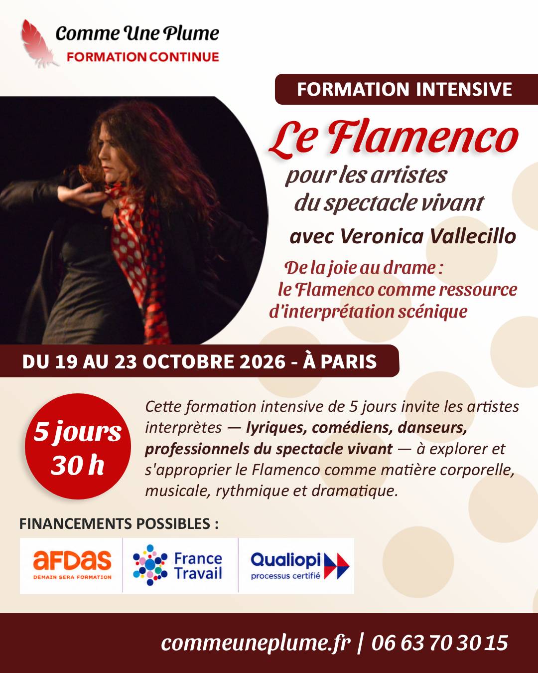 Formation le Flamenco pour les artsites du spectacle vivant
