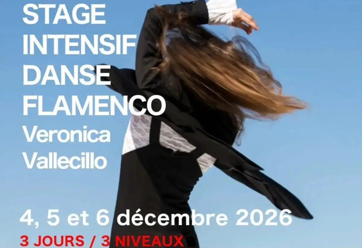 Stage de Flamenco à Paris, Adultes, Paris 75020